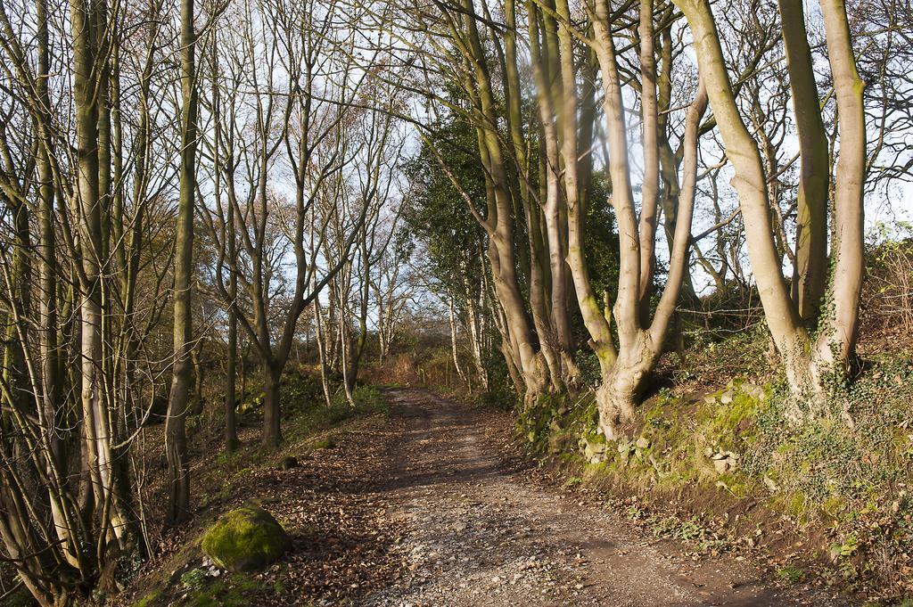 Pheasants Nye Villa Higher Burwardsley Eksteriør billede